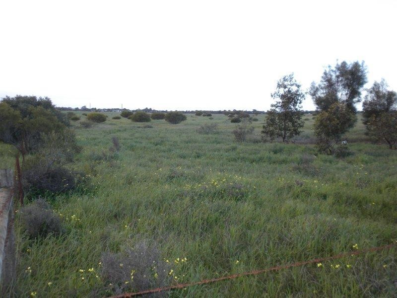 Section 393 Government Road, Kadina SA 5554