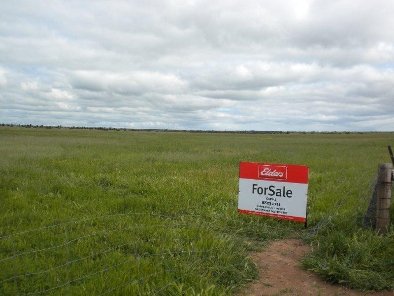 Section 384/ Government Road off Martinga Road, Kadina SA 5554