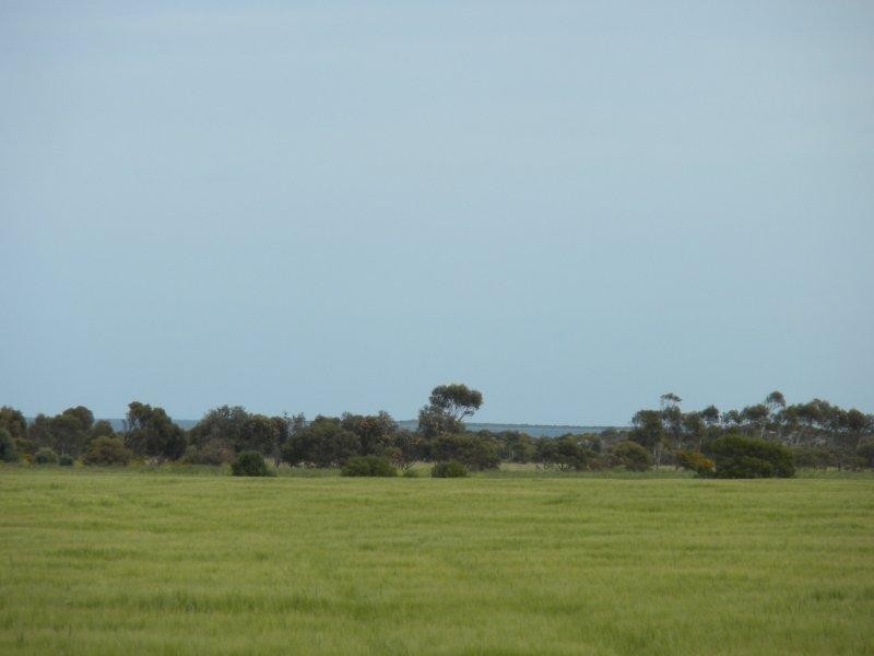 Sec 1172 Chapman Road, Moonta Bay SA 5558