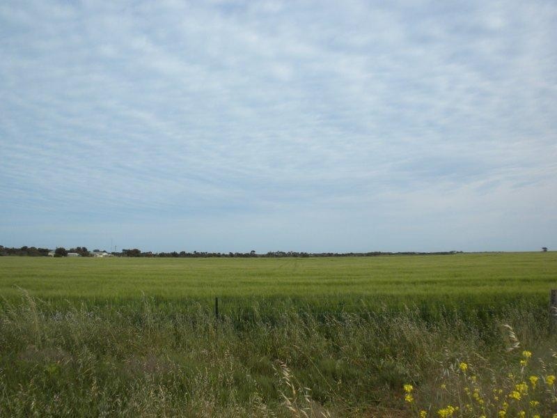 Sec 1172 Chapman Road, Moonta Bay SA 5558