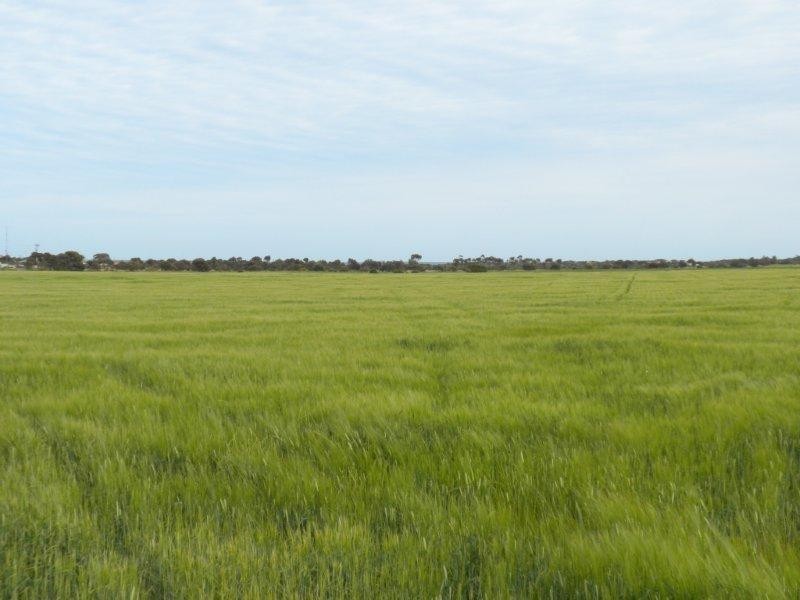 Sec 1172 Chapman Road, Moonta Bay SA 5558