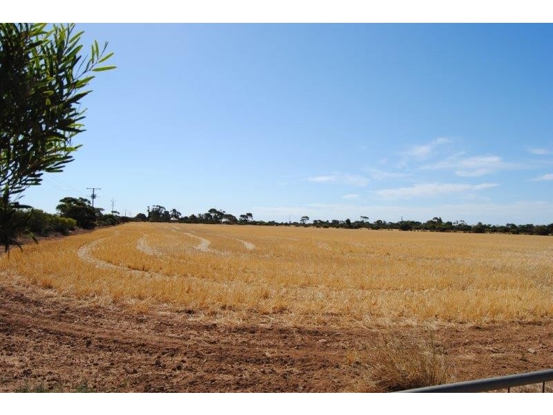 Sec 648 and 649 cnr Hazelgrove and Fairfield Roads, Kadina SA 5554