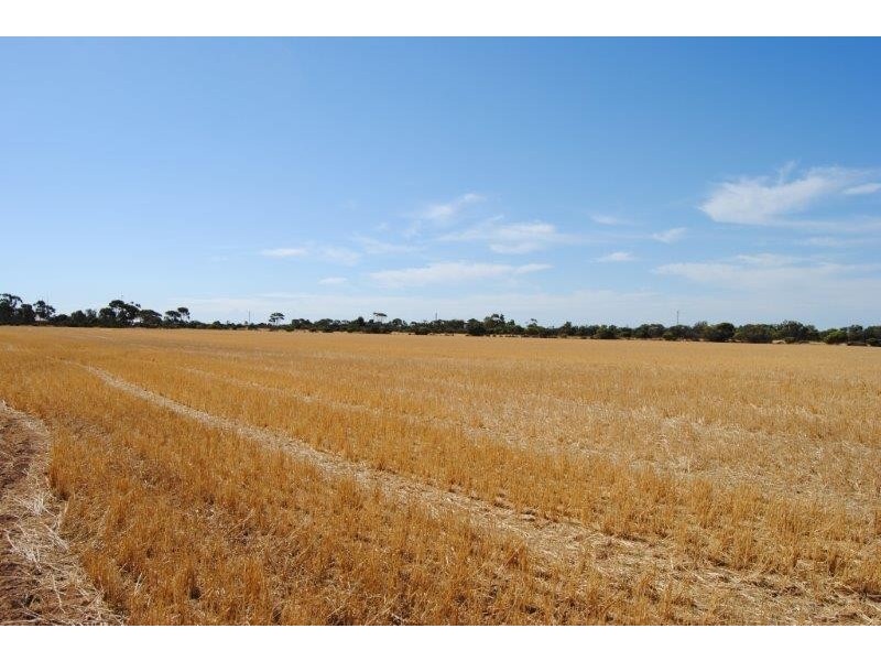 Sec 648 and 649 cnr Hazelgrove and Fairfield Roads, Kadina SA 5554