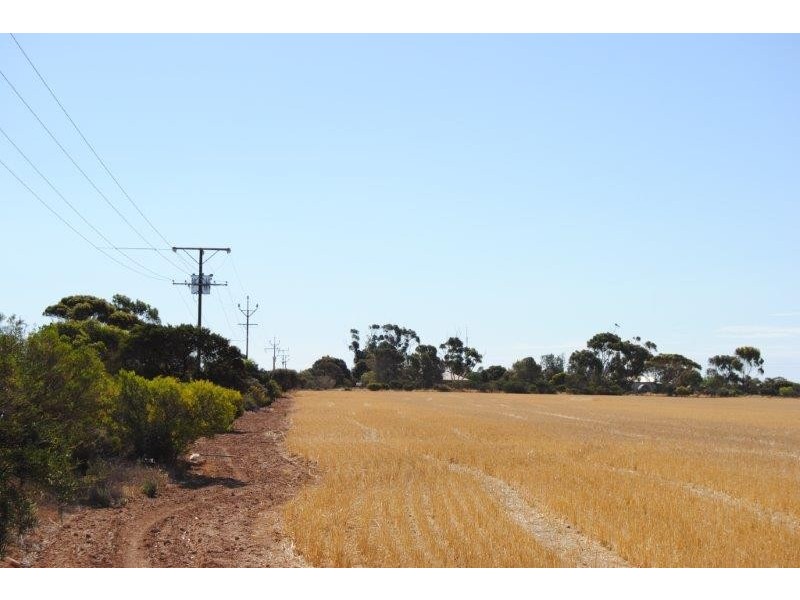 Sec 648 and 649 cnr Hazelgrove and Fairfield Roads, Kadina SA 5554