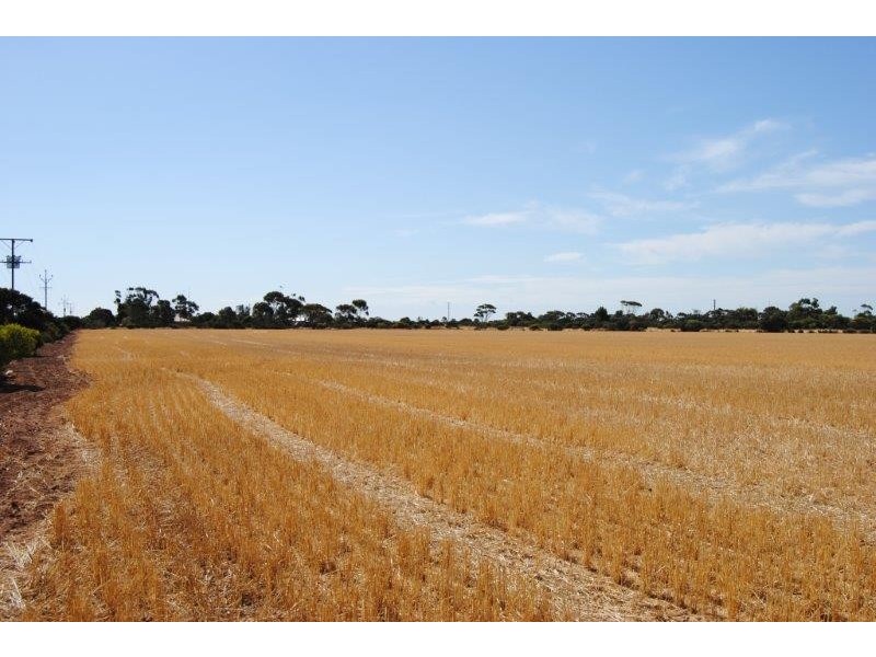 Sec 648 and 649 cnr Hazelgrove and Fairfield Roads, Kadina SA 5554
