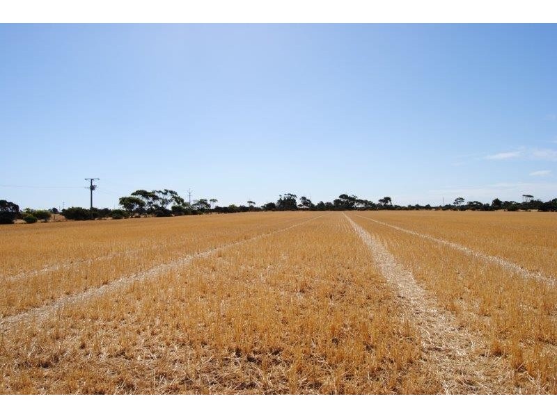 Sec 648 and 649 cnr Hazelgrove and Fairfield Roads, Kadina SA 5554