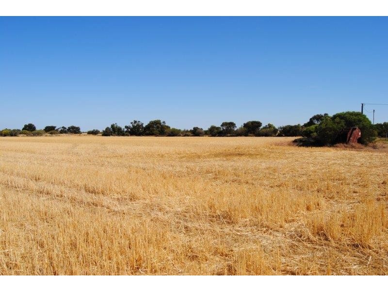 Sec 648 and 649 cnr Hazelgrove and Fairfield Roads, Kadina SA 5554