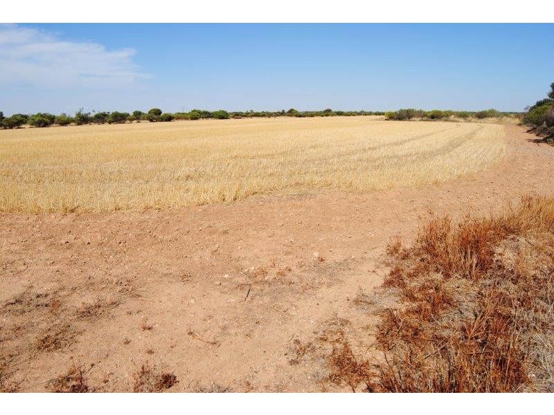 Sec 648 and 649 cnr Hazelgrove and Fairfield Roads, Kadina SA 5554