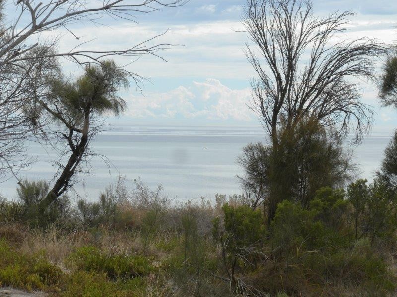 6 Pinwattle Place, The Pines SA 5575