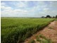 Lot 1,3 and 4 Maitland Road, Moonta SA 5558