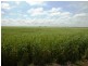 Lot 1,3 and 4 Maitland Road, Moonta SA 5558