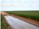 Lot 1,3 and 4 Maitland Road, Moonta SA 5558