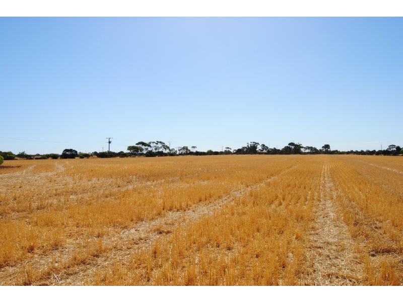 Sec 648 Fairfield Road, Kadina SA 5554