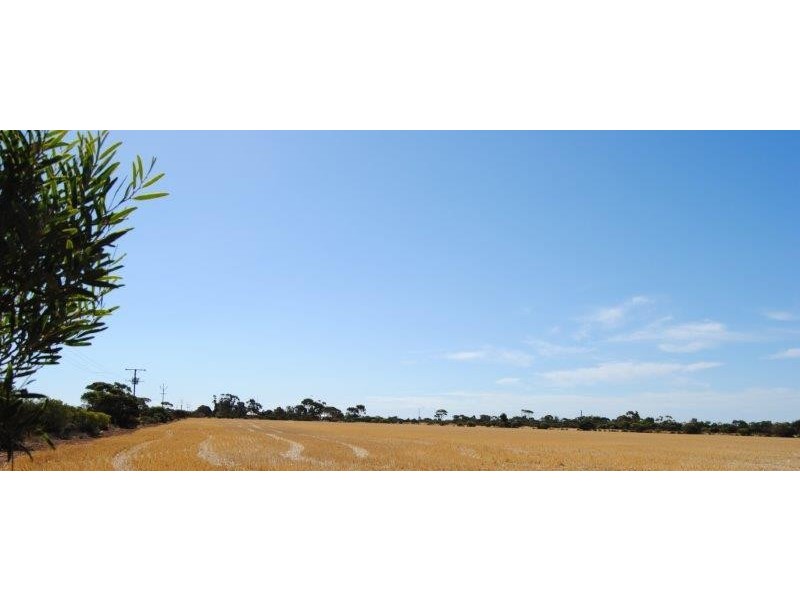 Sec 649 Haselgrove Road, Kadina SA 5554