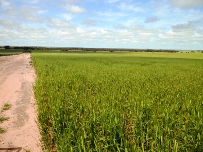 Lot 5 Moonta Road, Moonta SA 5558