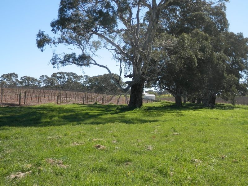 Lot 300 and 301 Burra Street, Mintaro SA 5415