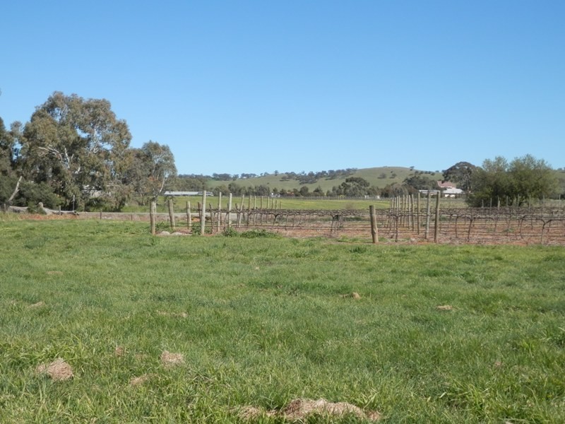 Lot 300 and 301 Burra Street, Mintaro SA 5415