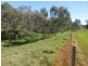 Lot 300 and 301 Burra Street, Mintaro SA 5415