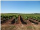 Lot 302 Merildin Road, Mintaro SA 5415