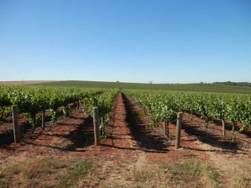 Lot 302 Merildin Road, Mintaro SA 5415