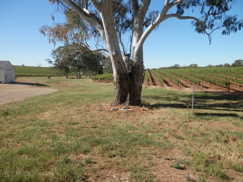 Lot 302 Merildin Road, Mintaro SA 5415