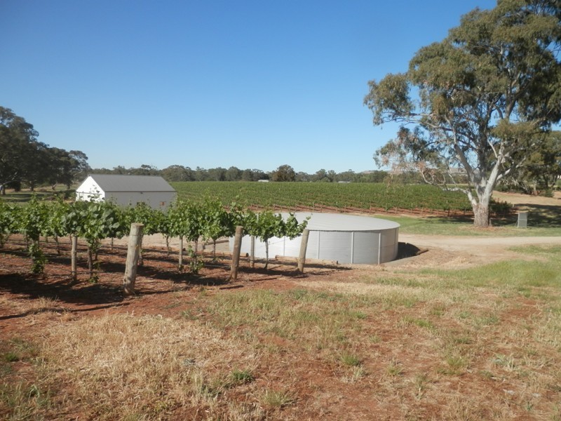Lot 302 Merildin Road, Mintaro SA 5415