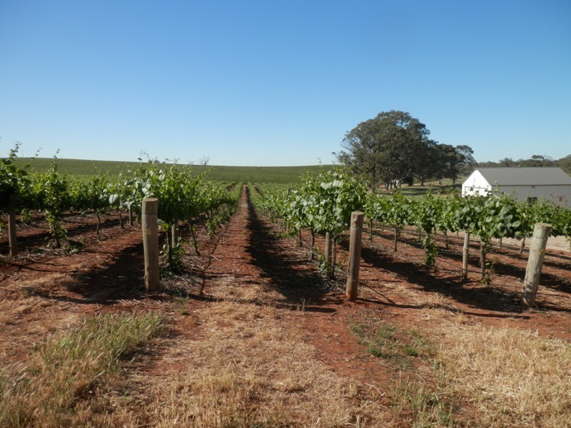 Lot 302 Merildin Road, Mintaro SA 5415