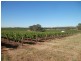 Lot 302 Merildin Road, Mintaro SA 5415