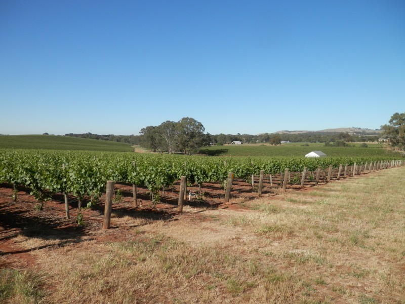 Lot 302 Merildin Road, Mintaro SA 5415