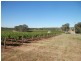 Lot 302 Merildin Road, Mintaro SA 5415