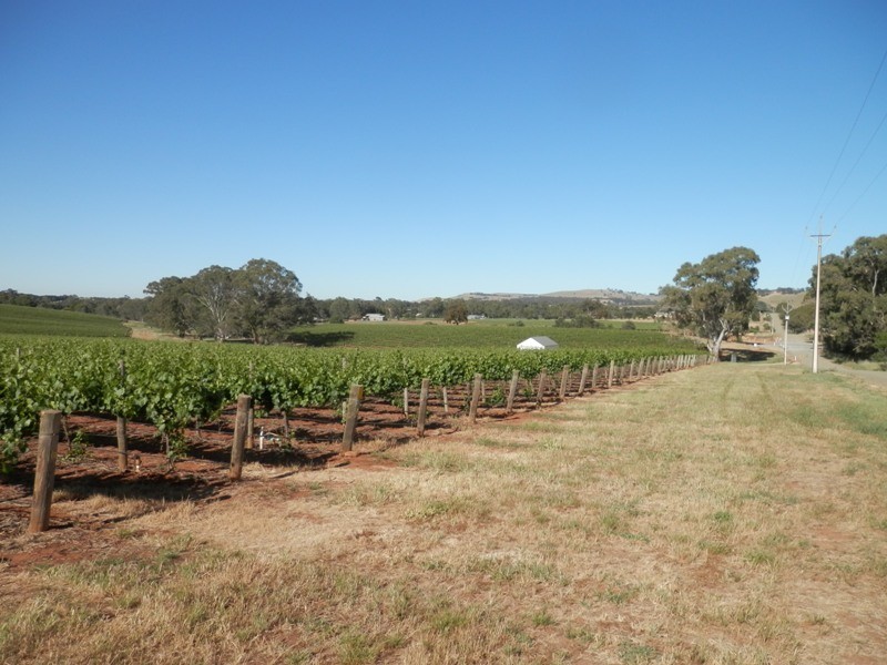 Lot 302 Merildin Road, Mintaro SA 5415