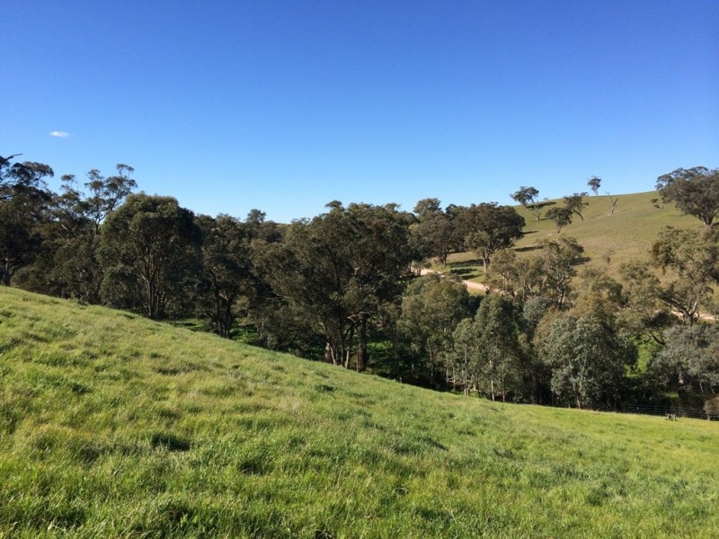 Section 469 Survey Road, Melrose SA 5483