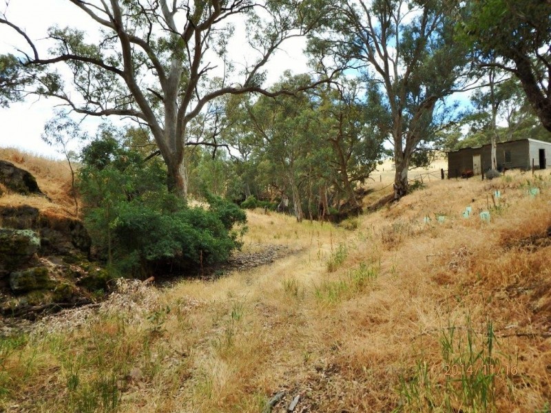 Section 469 Survey Road, Melrose SA 5483