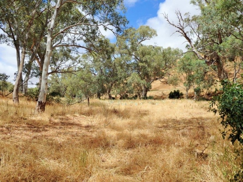 Section 469 Survey Road, Melrose SA 5483