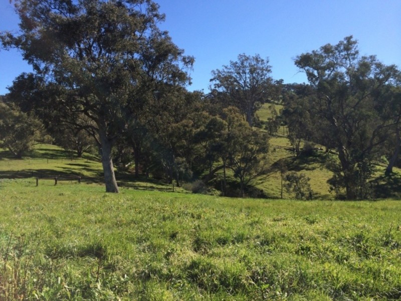 Section 469 Survey Road, Melrose SA 5483