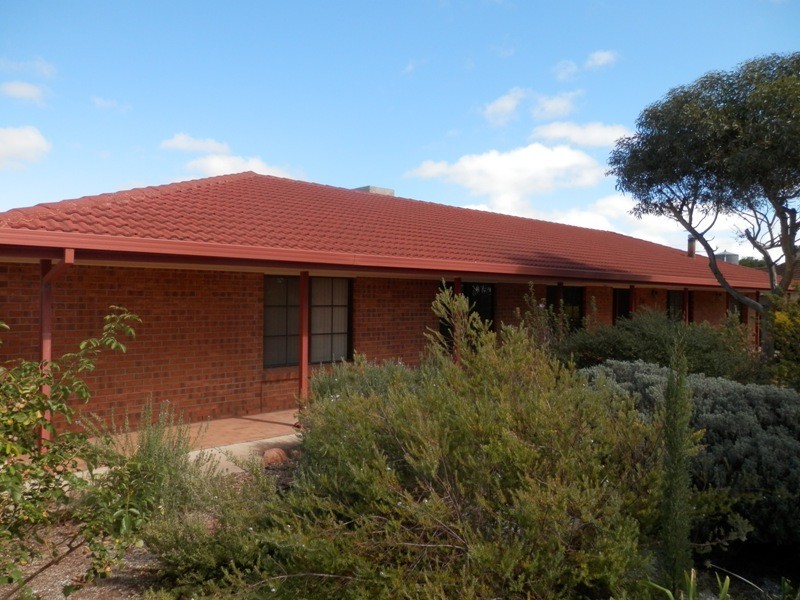 6 Alice Street, Maitland SA 5573