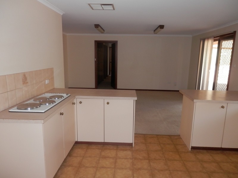 6 Alice Street, Maitland SA 5573