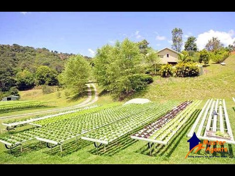 242 Syndicate Road, Tallebudgera QLD 4228