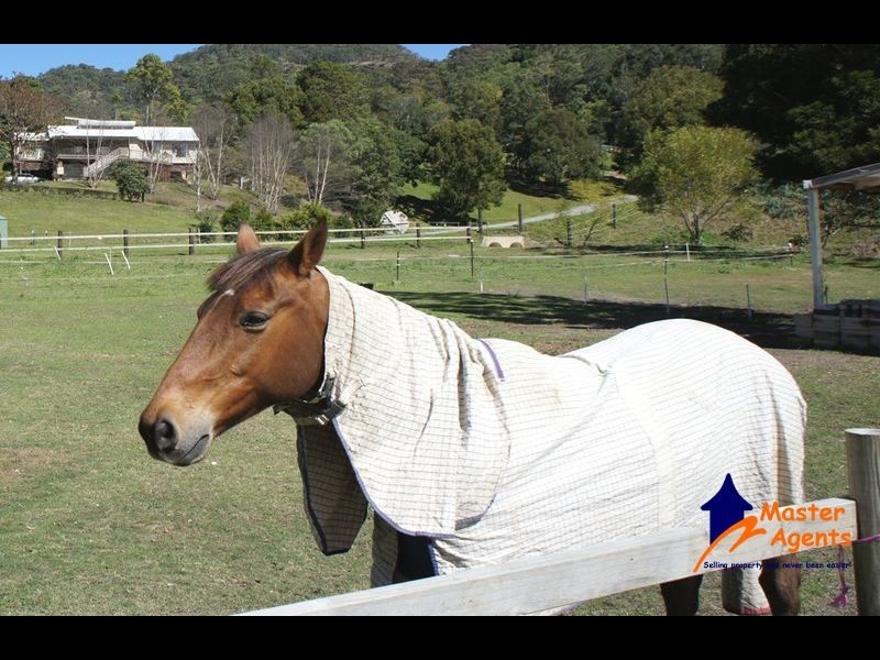 242 Syndicate Road, Tallebudgera QLD 4228