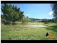 116 Tallebudgera Creek Road, Tallebudgera QLD 4228