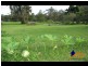 116 Tallebudgera Creek Road, Tallebudgera QLD 4228