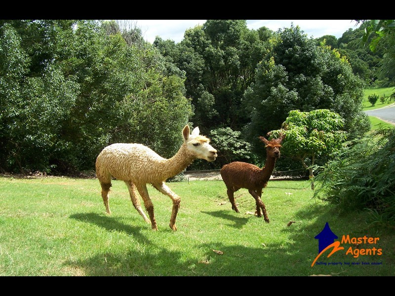 8 Yarra Court, Tallebudgera Valley QLD 4228