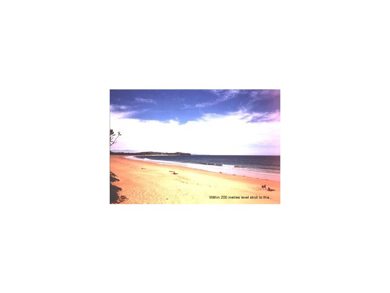 17/1026 Pittwater Rd, Collaroy NSW 2097