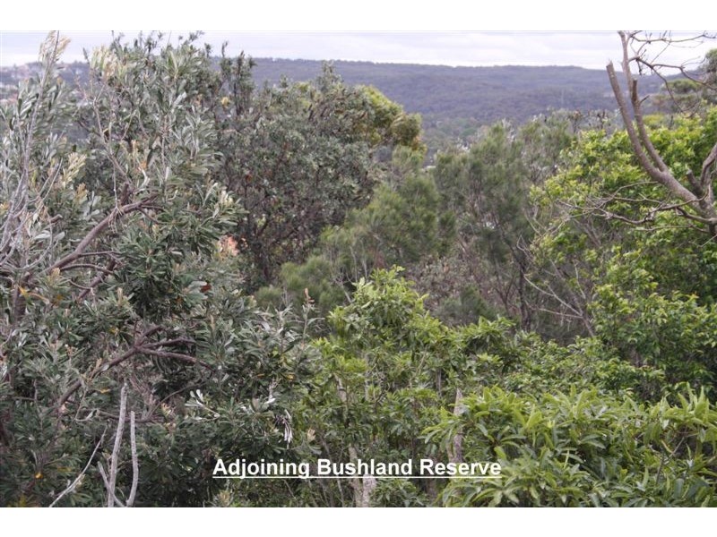 35 Lincoln Ave, Collaroy NSW 2097