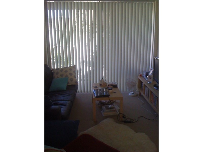 12/117 Oaks Avenue, Dee Why NSW 2099