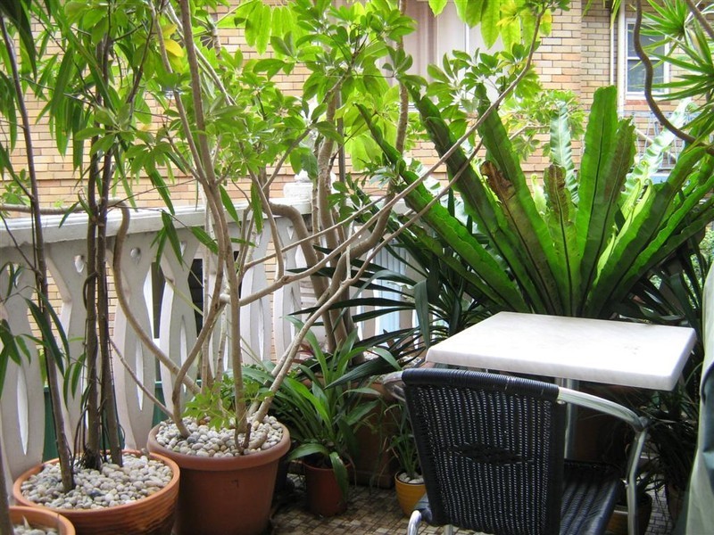 26/678 Rocky Point Road, Sans Souci NSW 2219