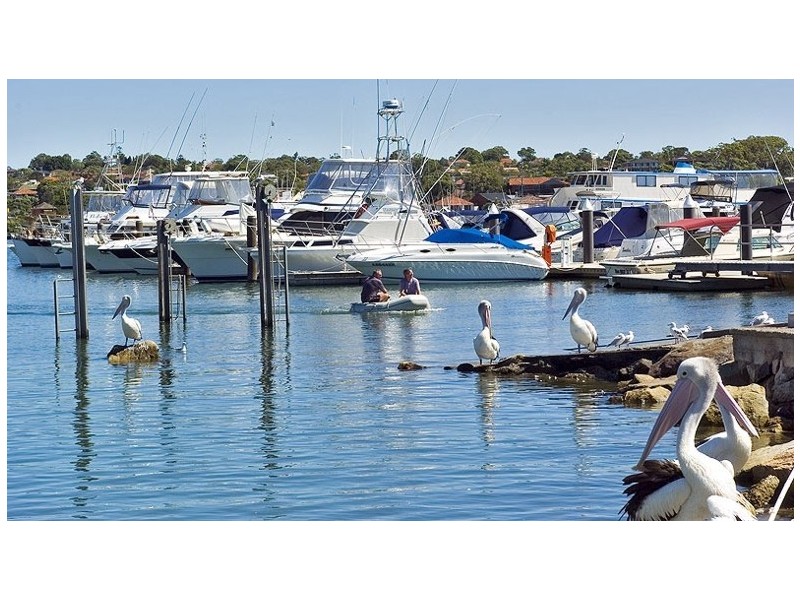 13 Robinson Street, Monterey NSW 2217