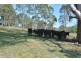 2486 Glendonbrook Road, Gresford NSW 2311