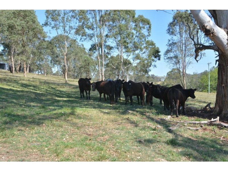 2486 Glendonbrook Road, Gresford NSW 2311
