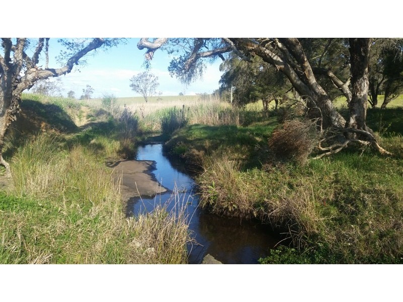 4925 Clarence Town Road, Dungog NSW 2420